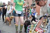 Mystic-Krewe-of-Barkus-JR-2011-0349