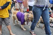 Mystic-Krewe-of-Barkus-JR-2011-0351