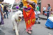 Mystic-Krewe-of-Barkus-JR-2011-0352