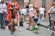 Mystic-Krewe-of-Barkus-JR-2011-0355