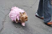 Mystic-Krewe-of-Barkus-JR-2011-0356