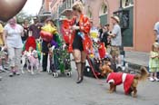 Mystic-Krewe-of-Barkus-JR-2011-0357