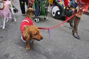 Mystic-Krewe-of-Barkus-JR-2011-0358