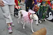 Mystic-Krewe-of-Barkus-JR-2011-0359