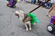 Mystic-Krewe-of-Barkus-JR-2011-0363