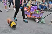 Mystic-Krewe-of-Barkus-JR-2011-0367