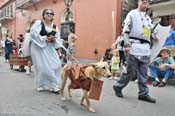 Mystic-Krewe-of-Barkus-JR-2011-0373