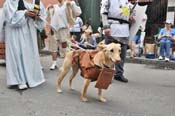 Mystic-Krewe-of-Barkus-JR-2011-0374