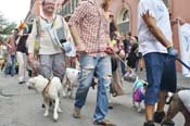 Mystic-Krewe-of-Barkus-JR-2011-0378