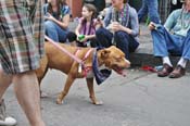 Mystic-Krewe-of-Barkus-JR-2011-0380