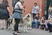 Mystic-Krewe-of-Barkus-JR-2011-0383