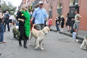 Mystic-Krewe-of-Barkus-JR-2011-0385