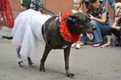 Mystic-Krewe-of-Barkus-JR-2011-0388