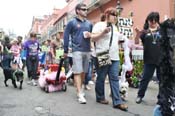 Mystic-Krewe-of-Barkus-JR-2011-0395