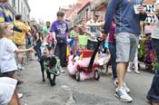 Mystic-Krewe-of-Barkus-JR-2011-0396