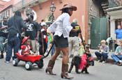 Mystic-Krewe-of-Barkus-JR-2011-0399