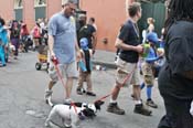 Mystic-Krewe-of-Barkus-JR-2011-0403