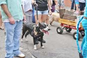 Mystic-Krewe-of-Barkus-JR-2011-0406