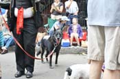 Mystic-Krewe-of-Barkus-JR-2011-0408