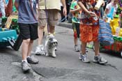 Mystic-Krewe-of-Barkus-JR-2011-0411