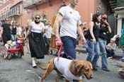 Mystic-Krewe-of-Barkus-JR-2011-0415