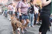 Mystic-Krewe-of-Barkus-JR-2011-0418