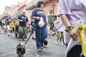 Mystic-Krewe-of-Barkus-JR-2011-0430