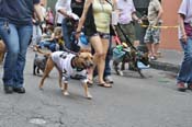 Mystic-Krewe-of-Barkus-JR-2011-0439