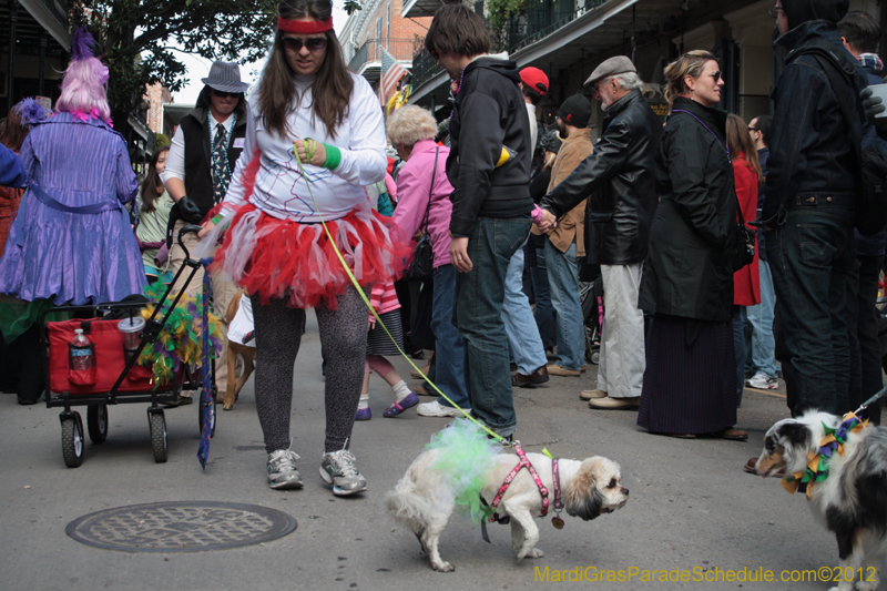 Mystic-Krewe-of-Barkus-2012-0141