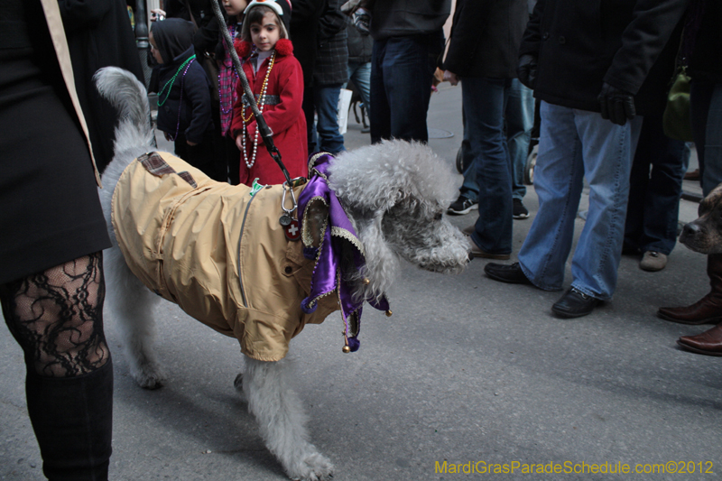 Mystic-Krewe-of-Barkus-2012-0150