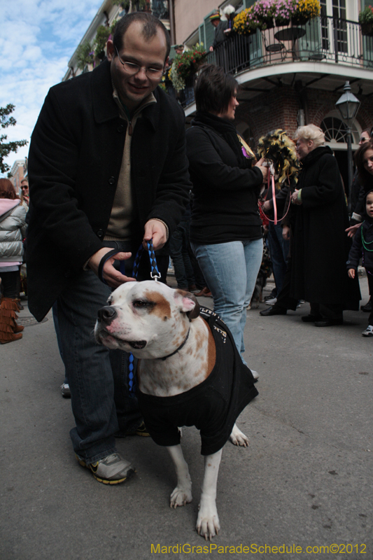 Mystic-Krewe-of-Barkus-2012-0159