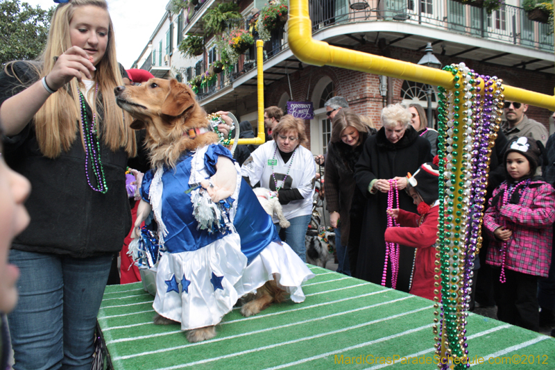 Mystic-Krewe-of-Barkus-2012-0162