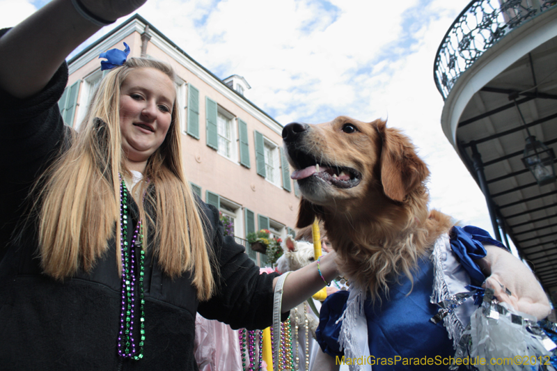 Mystic-Krewe-of-Barkus-2012-0163