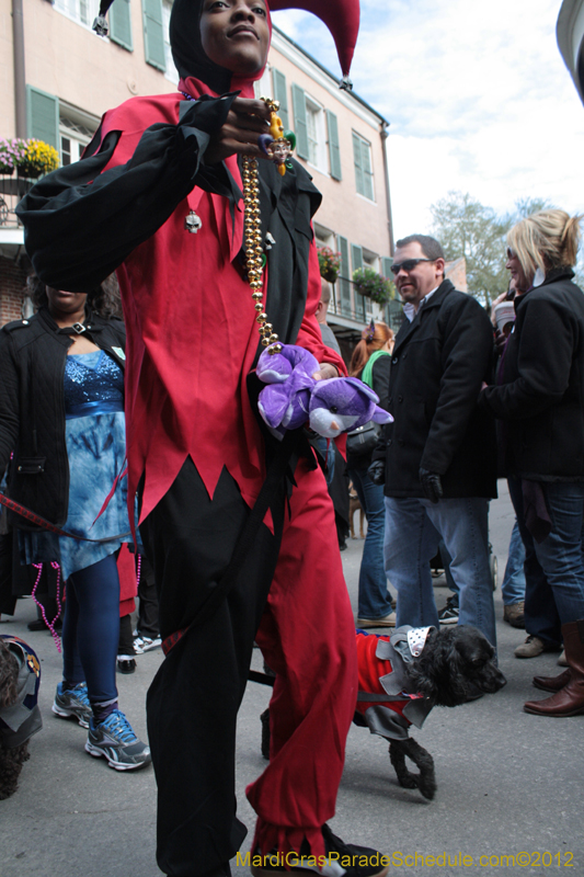 Mystic-Krewe-of-Barkus-2012-0164