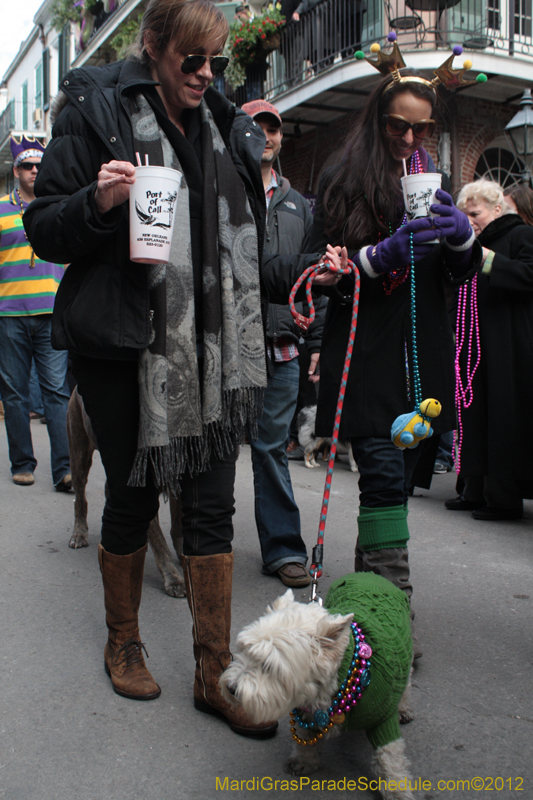 Mystic-Krewe-of-Barkus-2012-0167