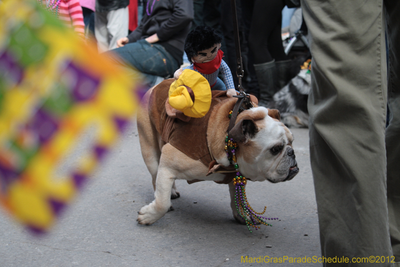 Mystic-Krewe-of-Barkus-2012-0173