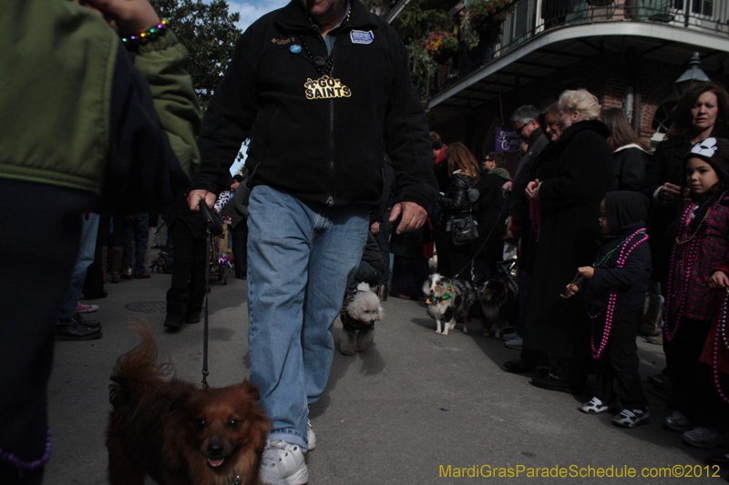 Mystic-Krewe-of-Barkus-2012-0183