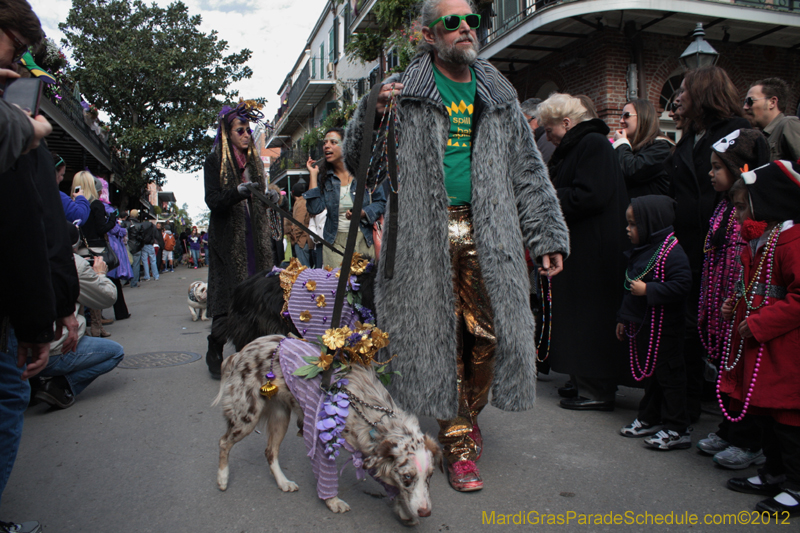 Mystic-Krewe-of-Barkus-2012-0187