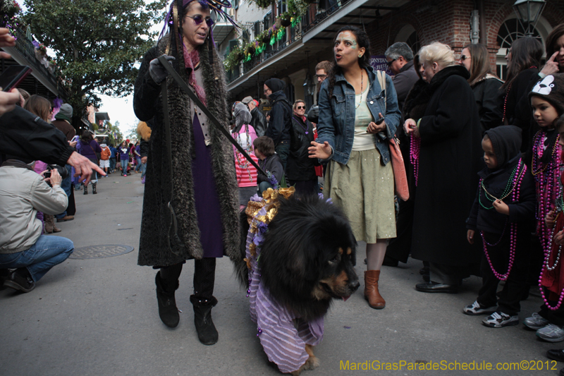 Mystic-Krewe-of-Barkus-2012-0188