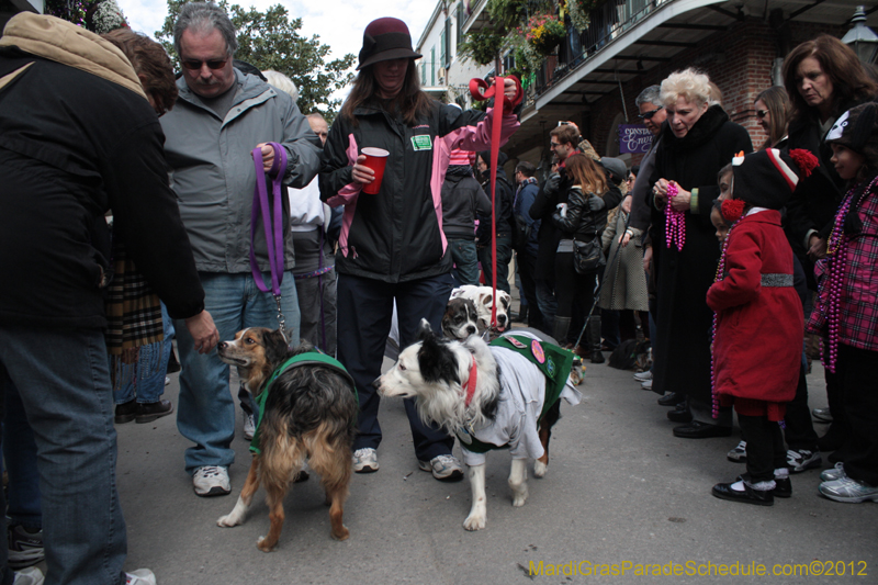 Mystic-Krewe-of-Barkus-2012-0197