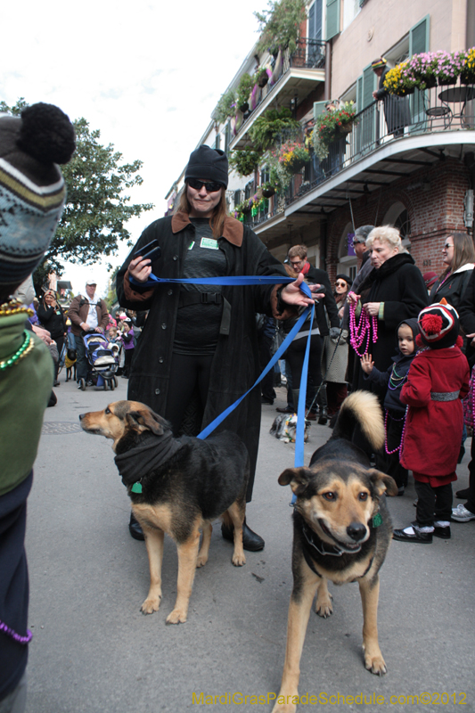 Mystic-Krewe-of-Barkus-2012-0199