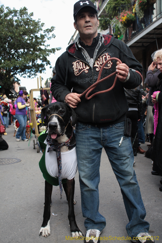 Mystic-Krewe-of-Barkus-2012-0201