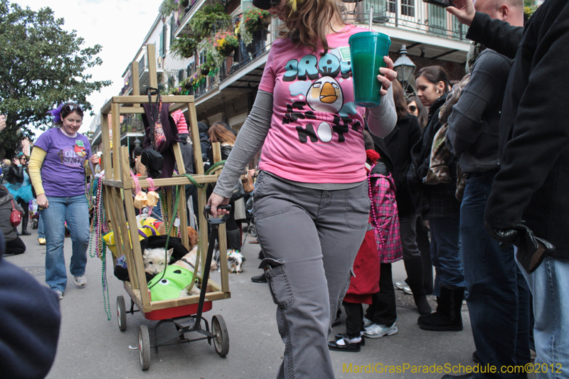 Mystic-Krewe-of-Barkus-2012-0202