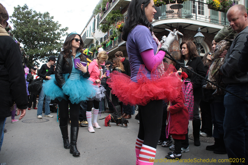 Mystic-Krewe-of-Barkus-2012-0204