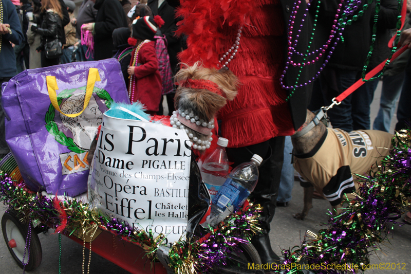 Mystic-Krewe-of-Barkus-2012-0205