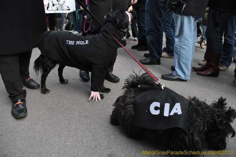 Mystic-Krewe-of-Barkus-2012-0206