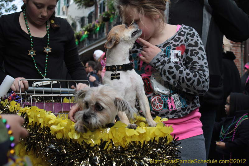 Mystic-Krewe-of-Barkus-2012-0208