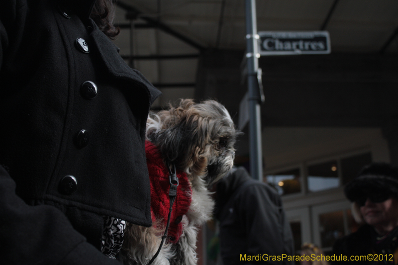 Mystic-Krewe-of-Barkus-2012-0209