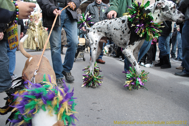 Mystic-Krewe-of-Barkus-2012-0219