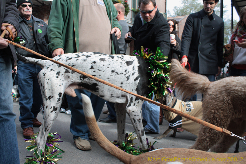 Mystic-Krewe-of-Barkus-2012-0221